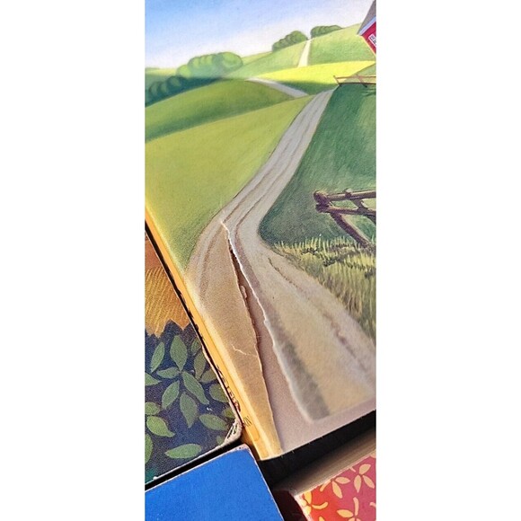 Lot The Days of Laura Ingalls Wilder 1-3 & 6 TL Tedrow Missouri Homestead & more - Picture 7 of 14